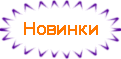Новые позиции