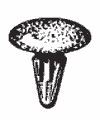 Крепежное изделие 10096 - Подкапотное пространство, MB115492 (MB-115492), MB332914 (MB-332914), MU481042 (MU-481042), 27948-M7002 (27948M7002), 90467-08008 (9046708008)